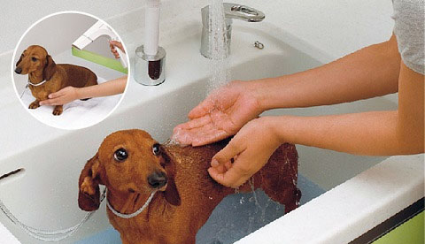 犬用洗面台