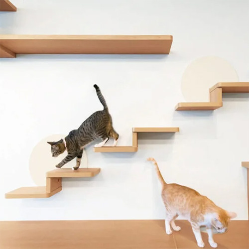キャットステップ