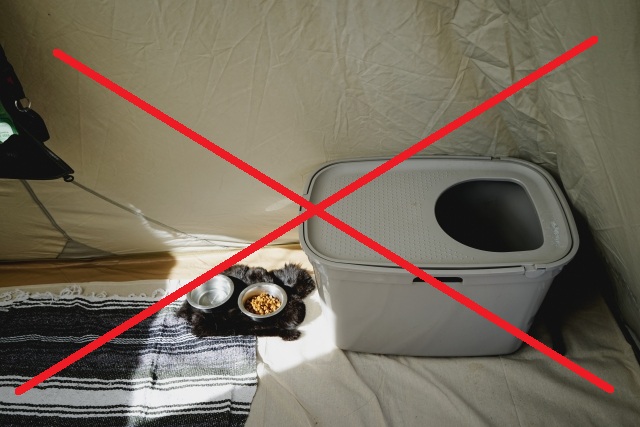 猫トイレの配置