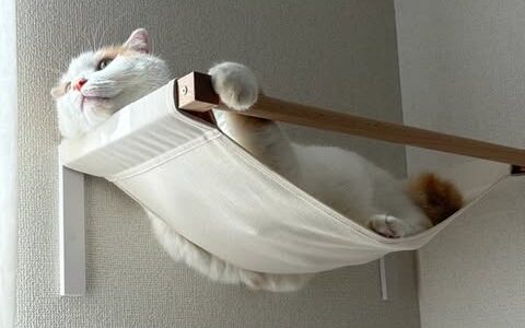 ゆったりくつろぐ[キャットハンモック]