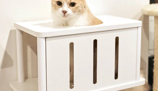 かくれんぼ[キャットトンネル]